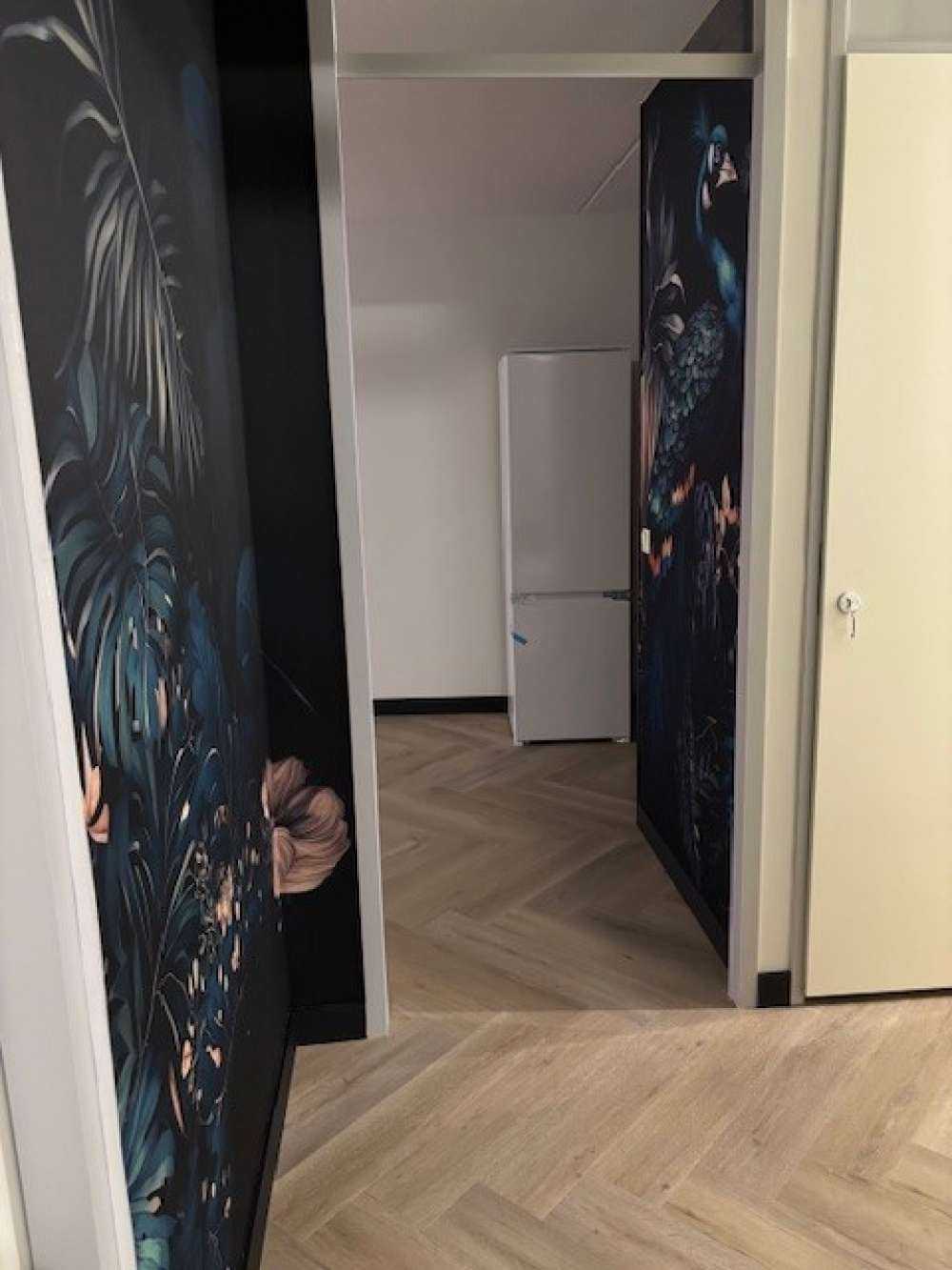 Nachtelijke Schoonheid van de Pauw