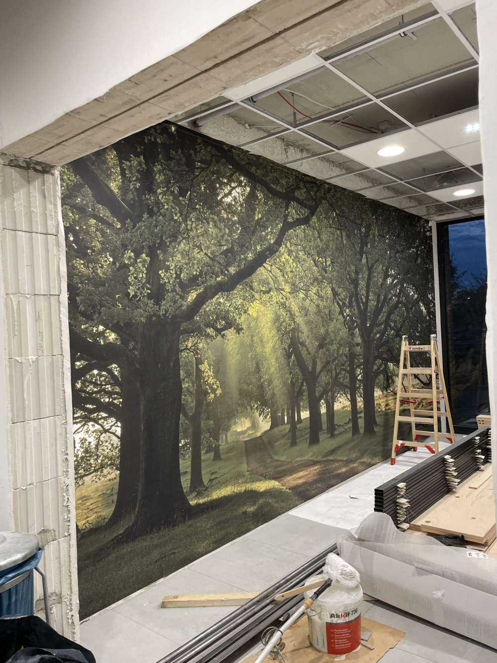 Pad tussen eikenbomen