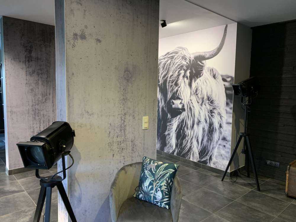 Schotse hooglander in zwart-wit