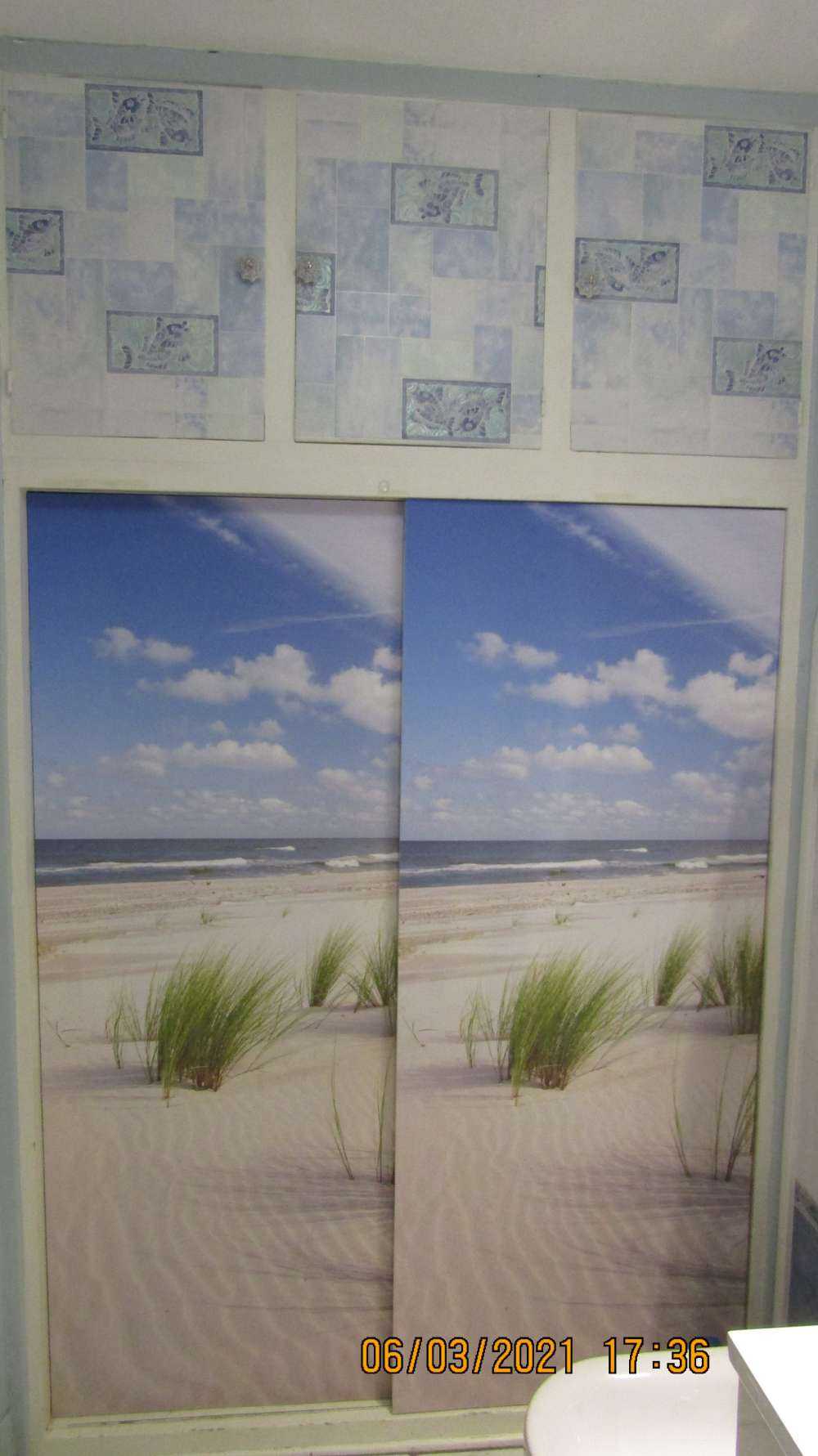 Strand met duinplanten