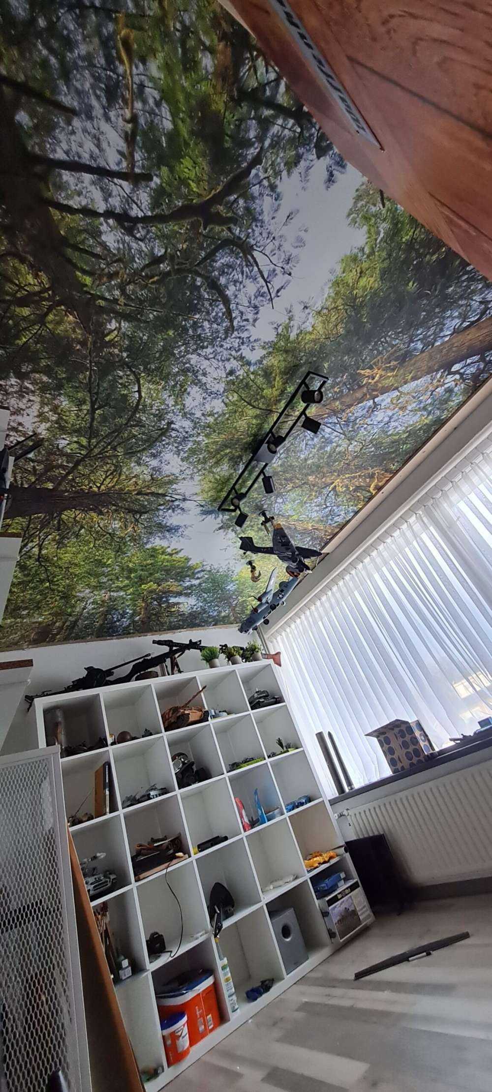 Bomen en bladeren