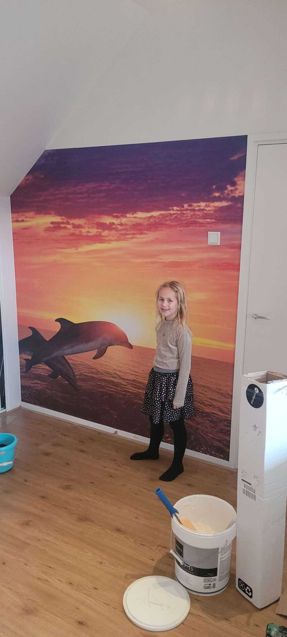 Dolfijnen in avondzon