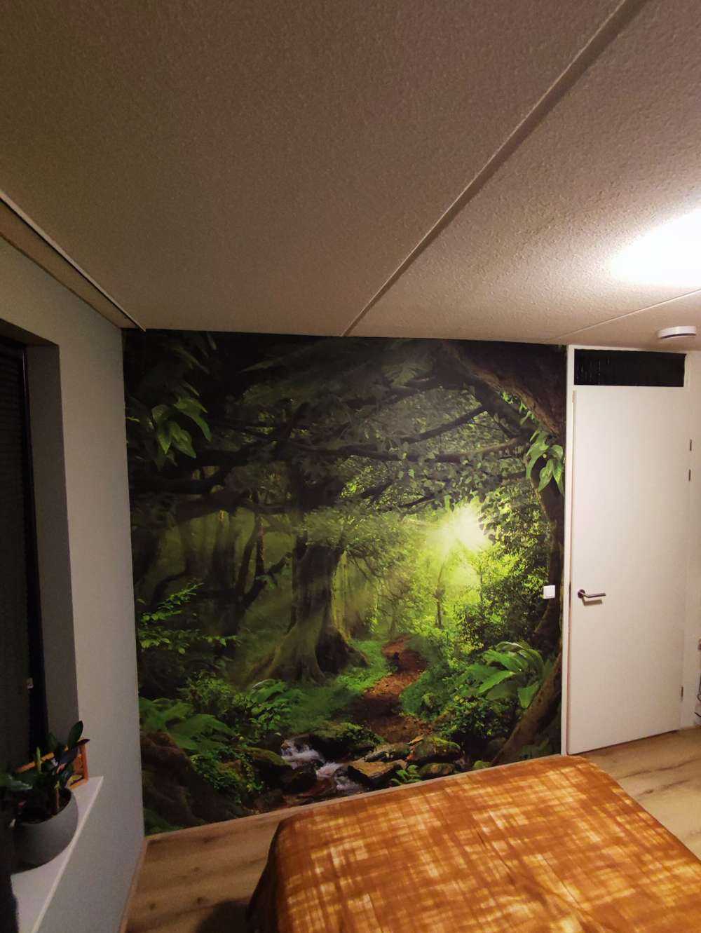 Tropische jungle met zonlicht