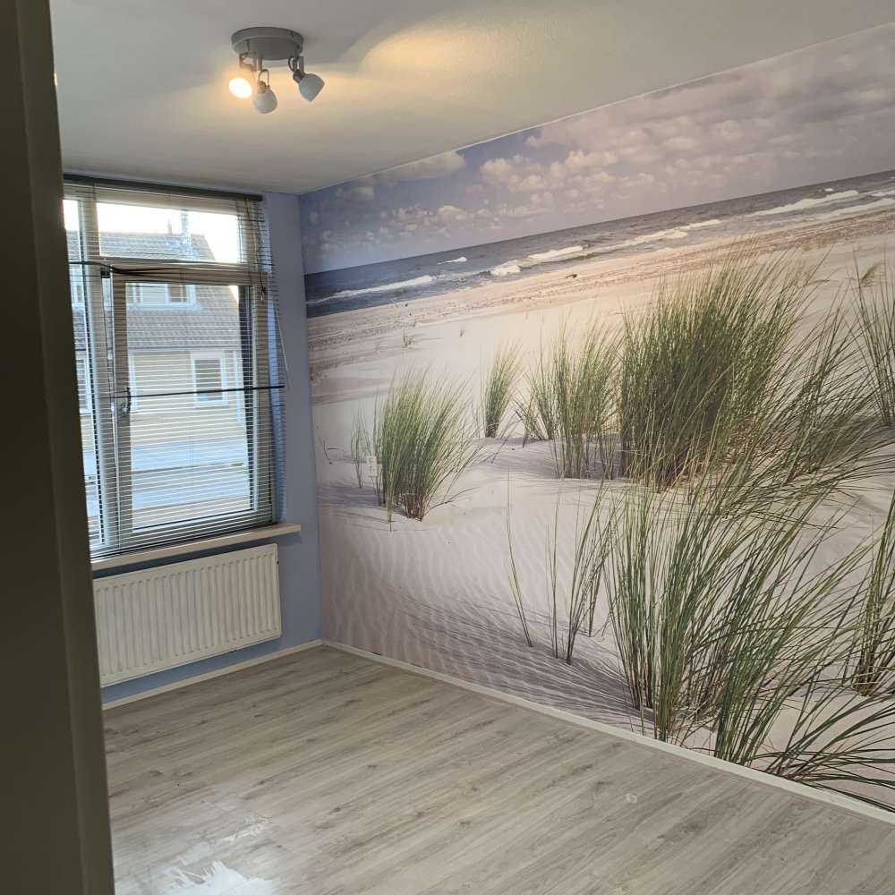 Strand met duinplanten