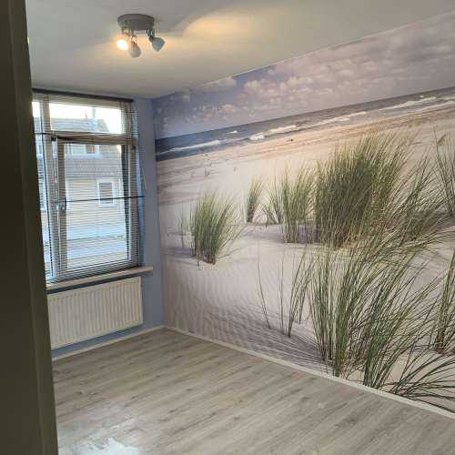 Strand met duinplanten