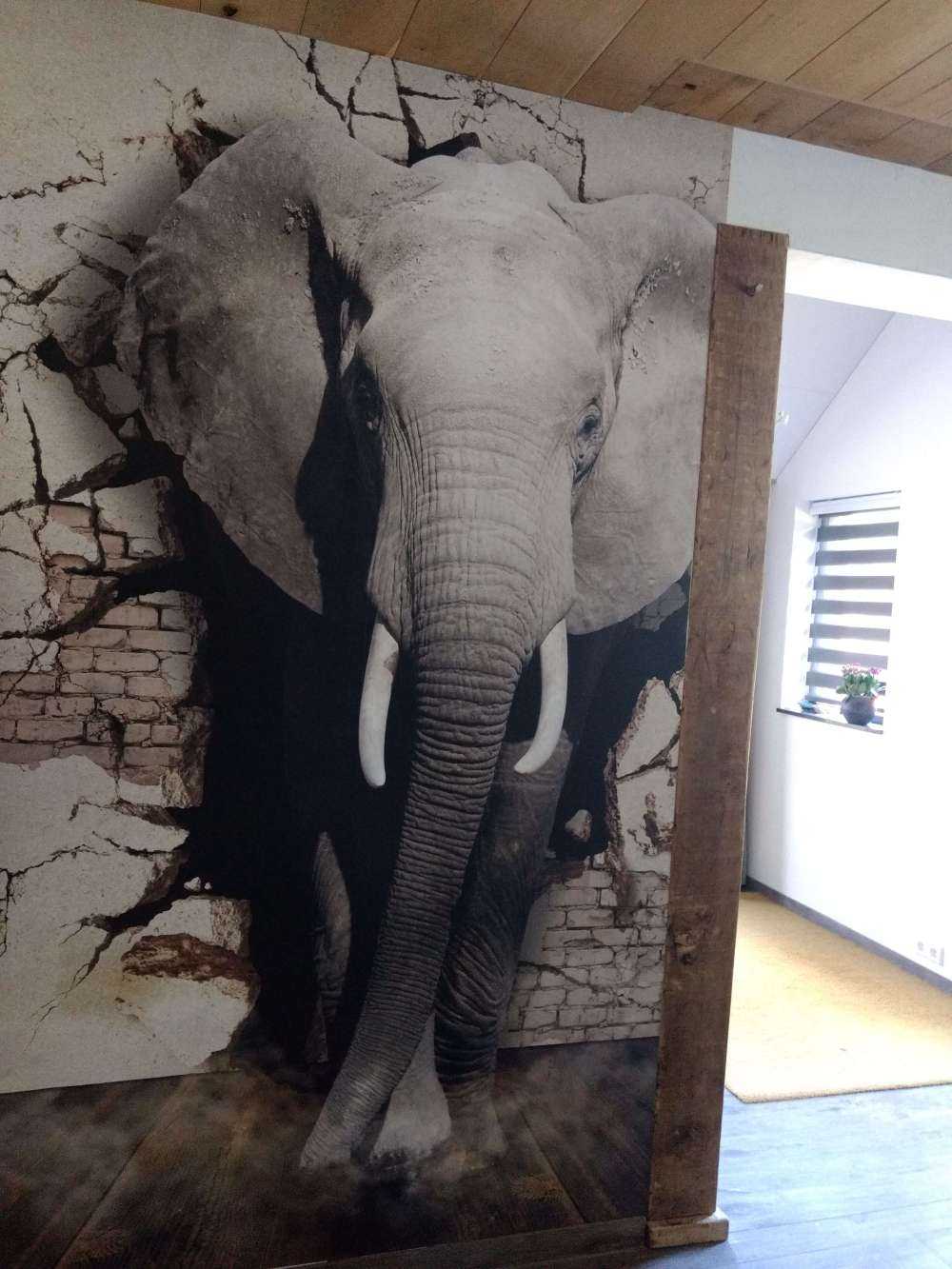3D Olifant uit de muur