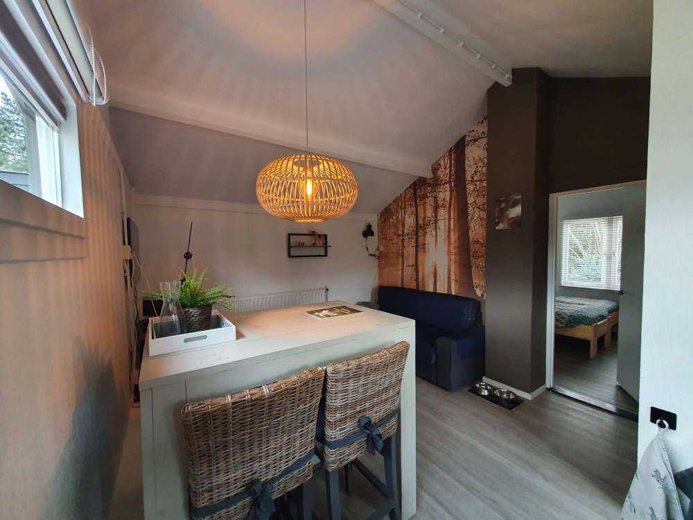 Zonnestralen in een mistig bos