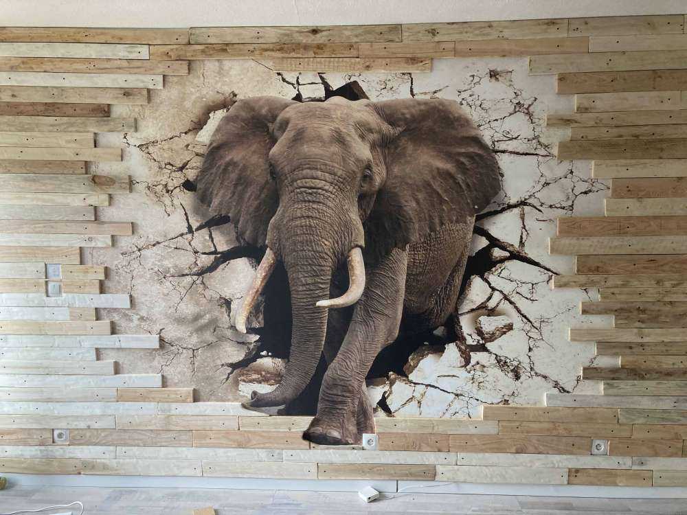 Grote olifant uit de muur