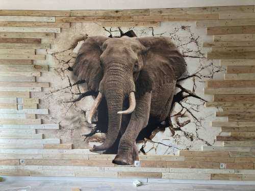 Grote olifant uit de muur