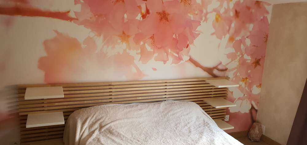 Lichte roze bloesems