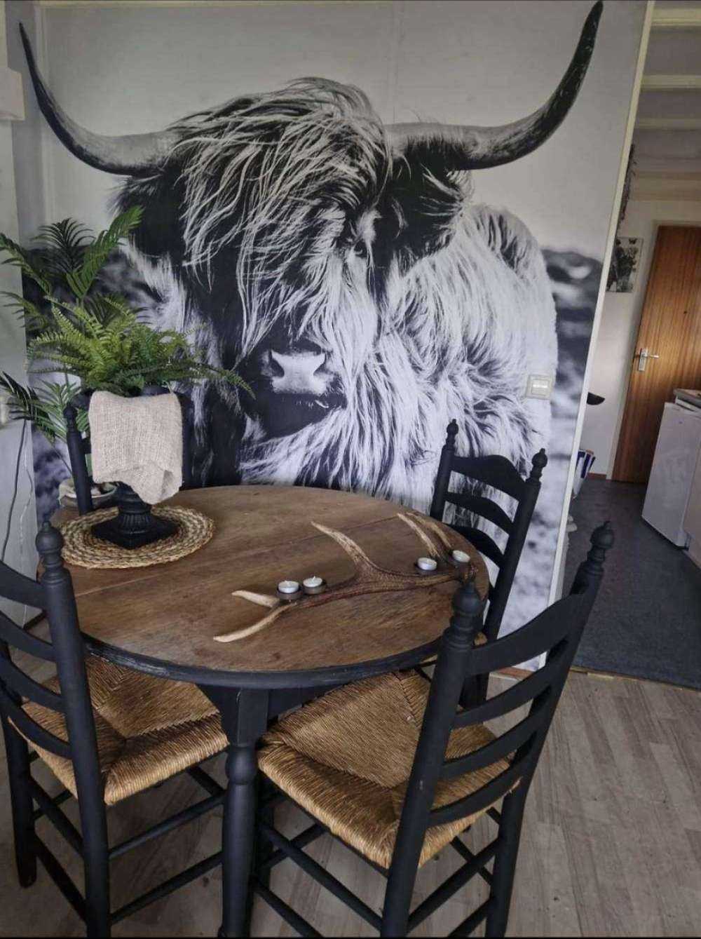 Schotse hooglander in zwart-wit