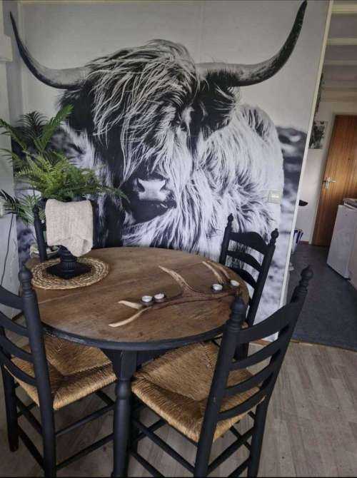 Schotse hooglander in zwart-wit