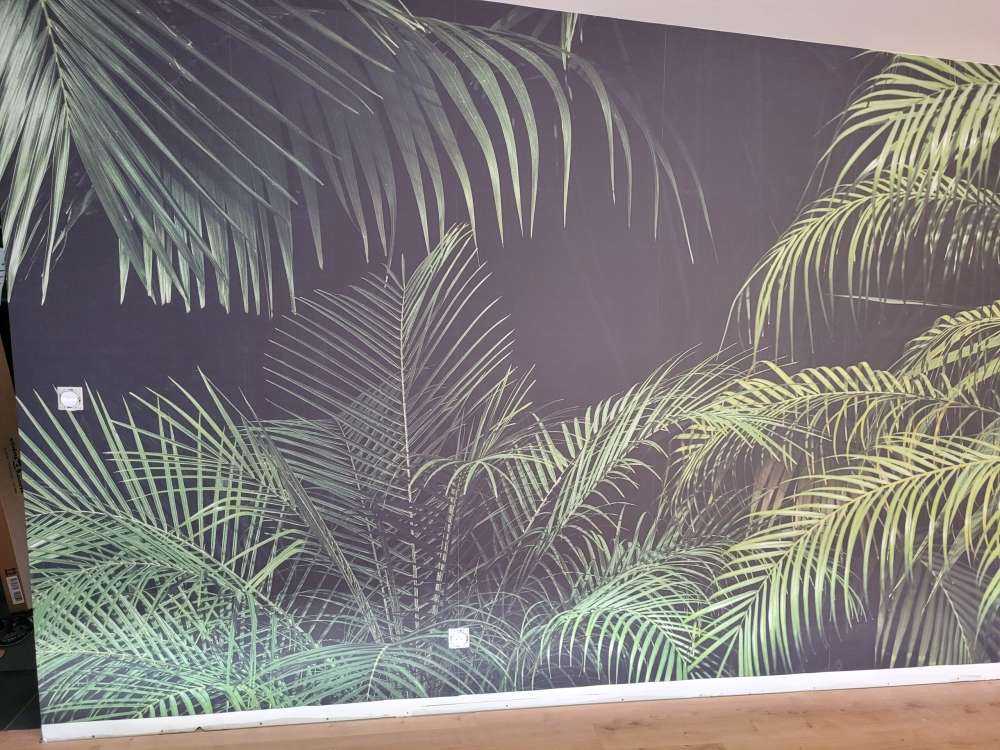 Plant met groene bladeren