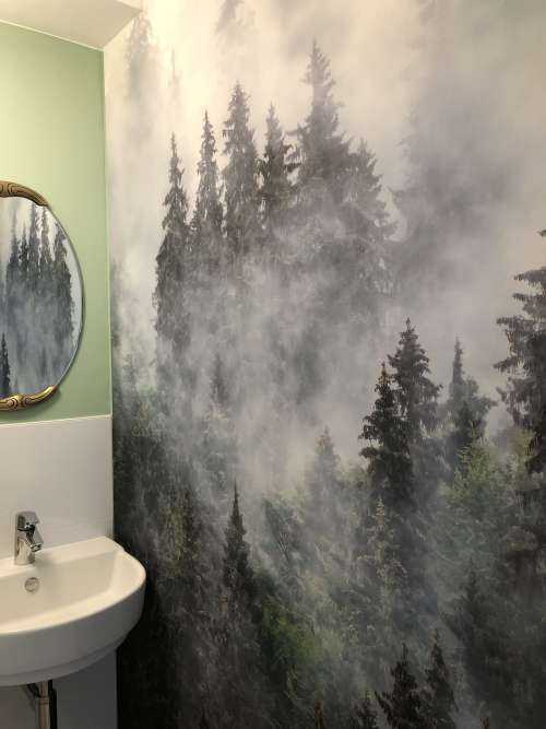Mistig landschap met groene bomen