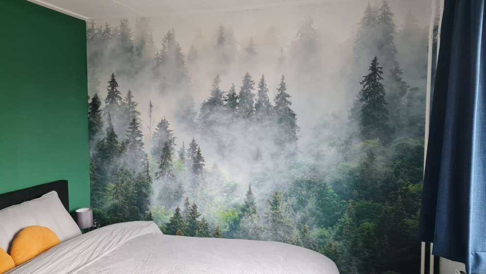 Mistig landschap met groene bomen