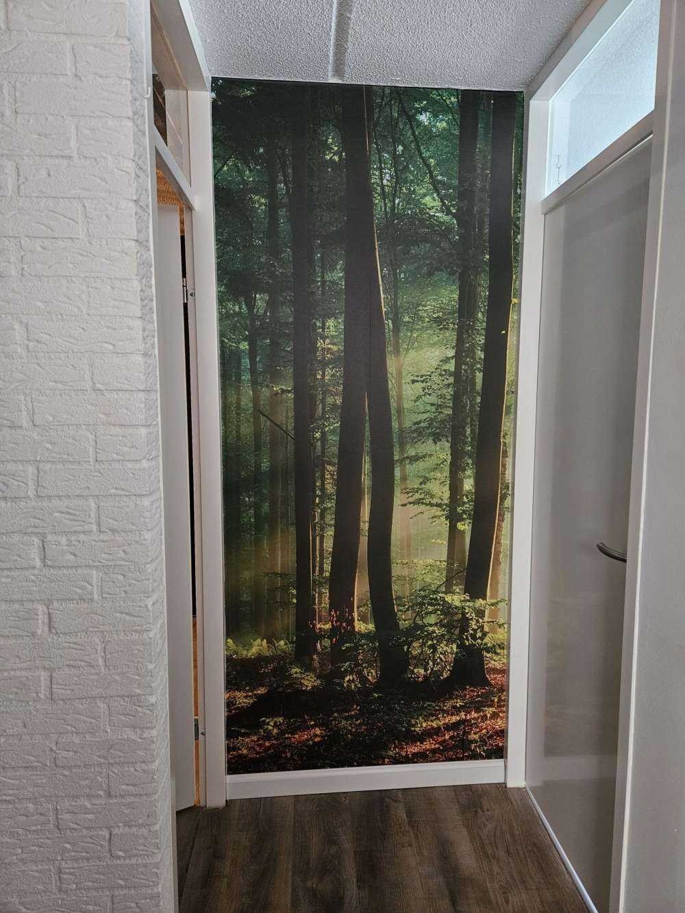 Ochtendzon tussen de bomen