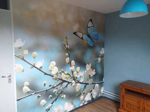 Blauwe vlinders