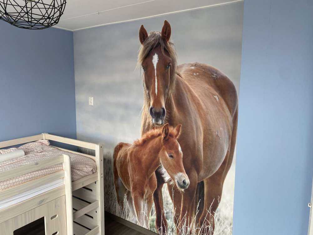 Wilde paarden