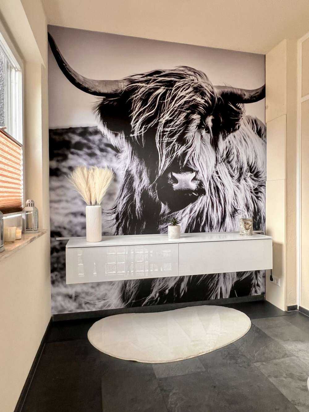 Schotse hooglander in zwart-wit