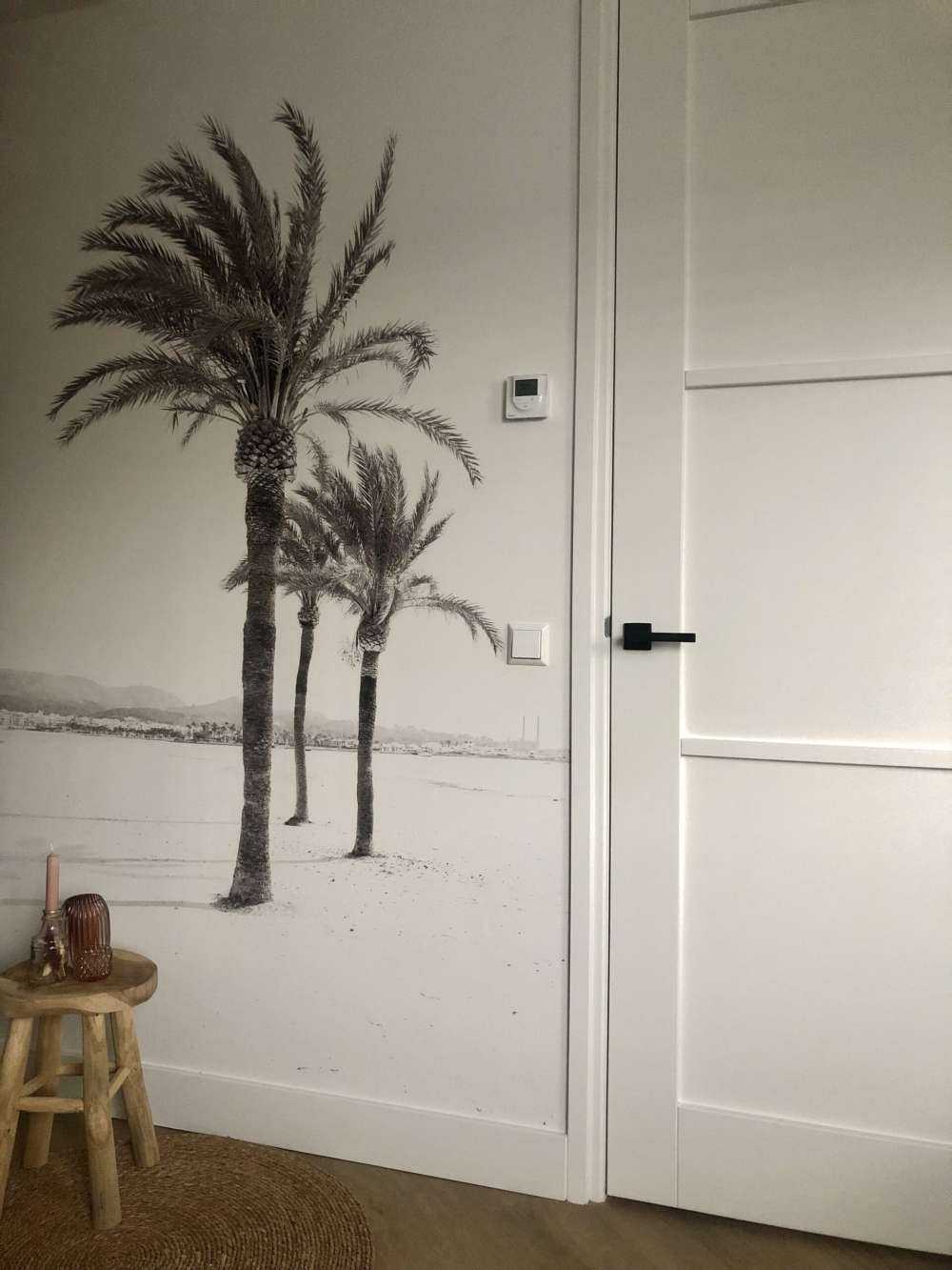 Palmbomen bij elkaar