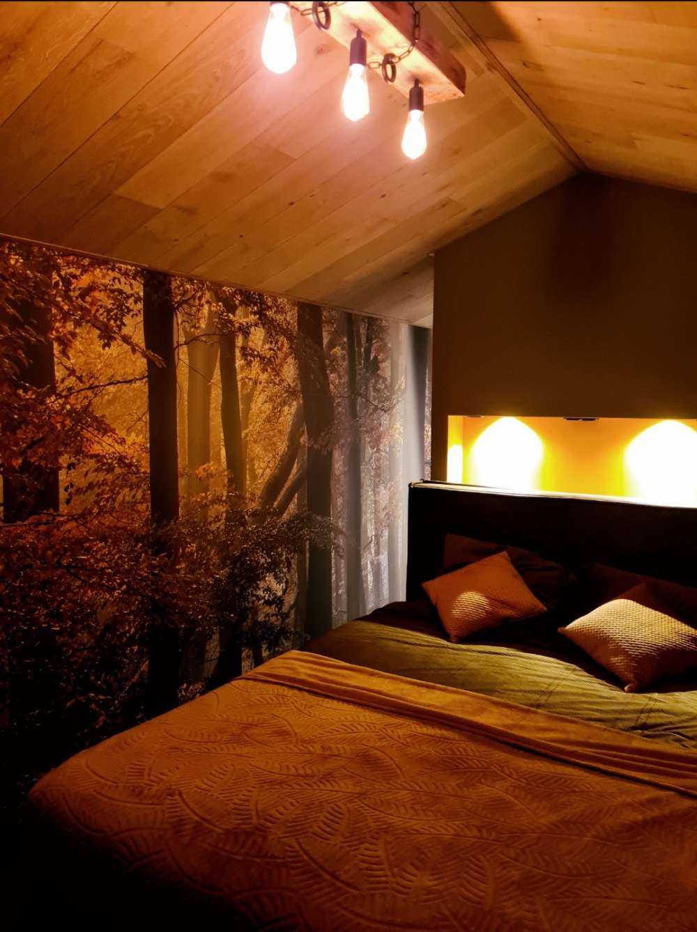 Herfstkleuren in het bos