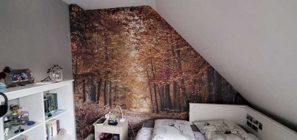 Pathway through Autumn forest