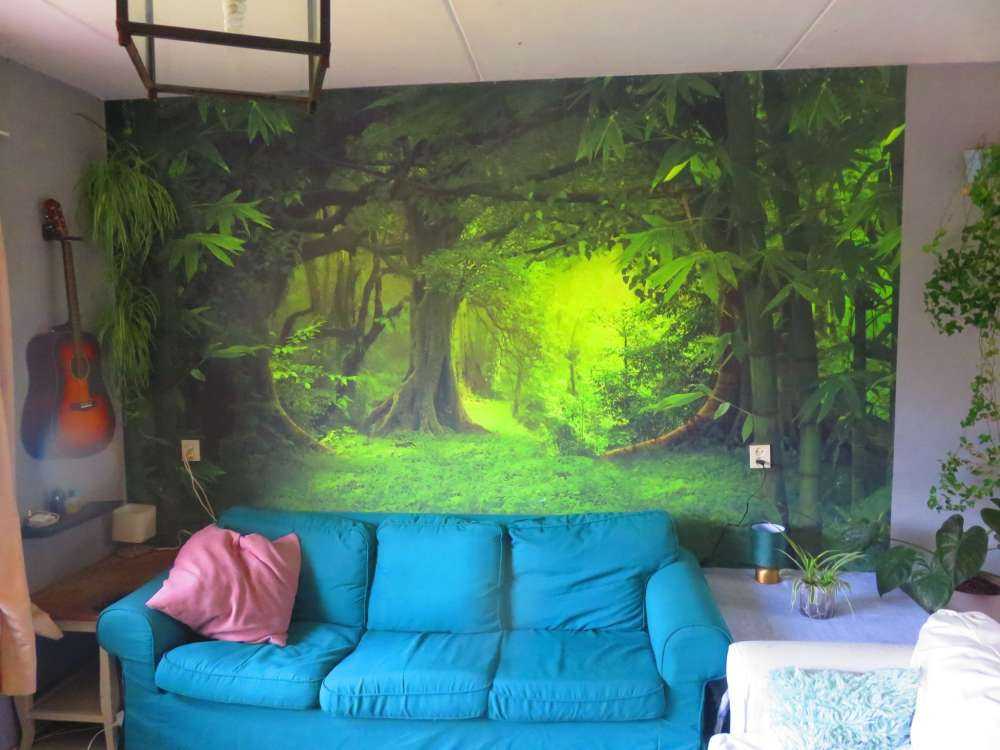 Tropische jungle