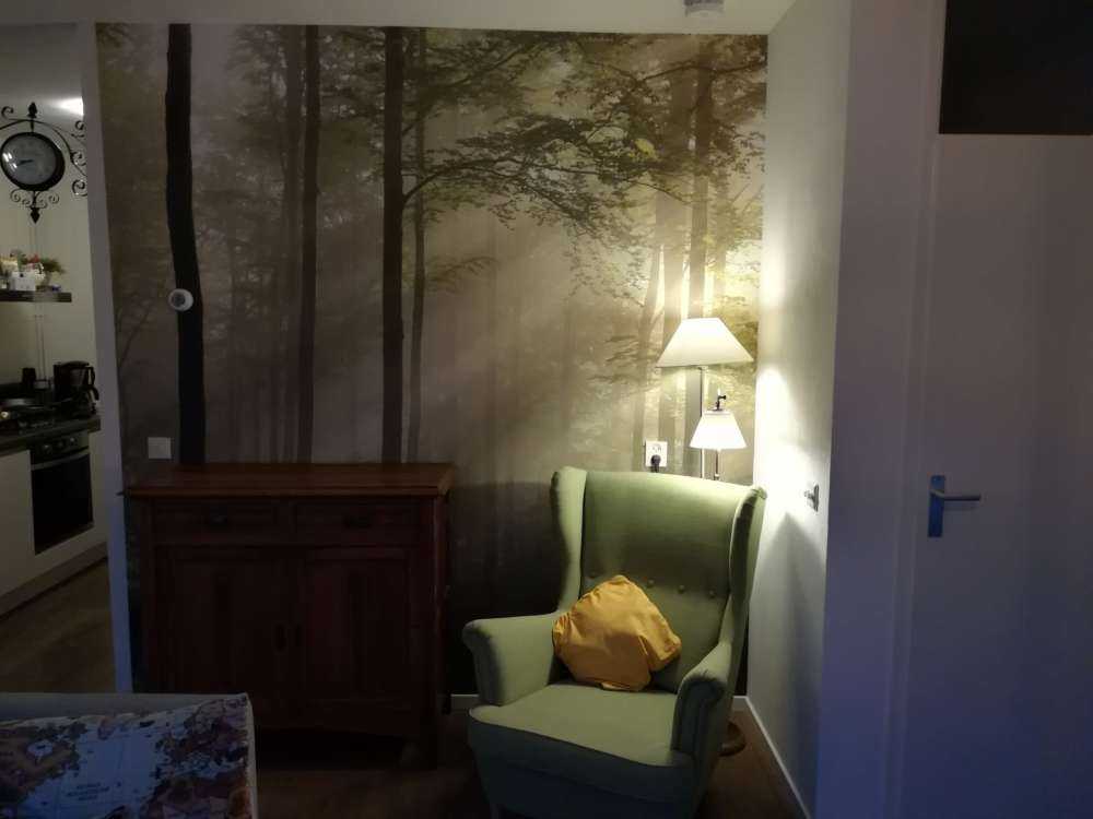 Groen bos in de mist
