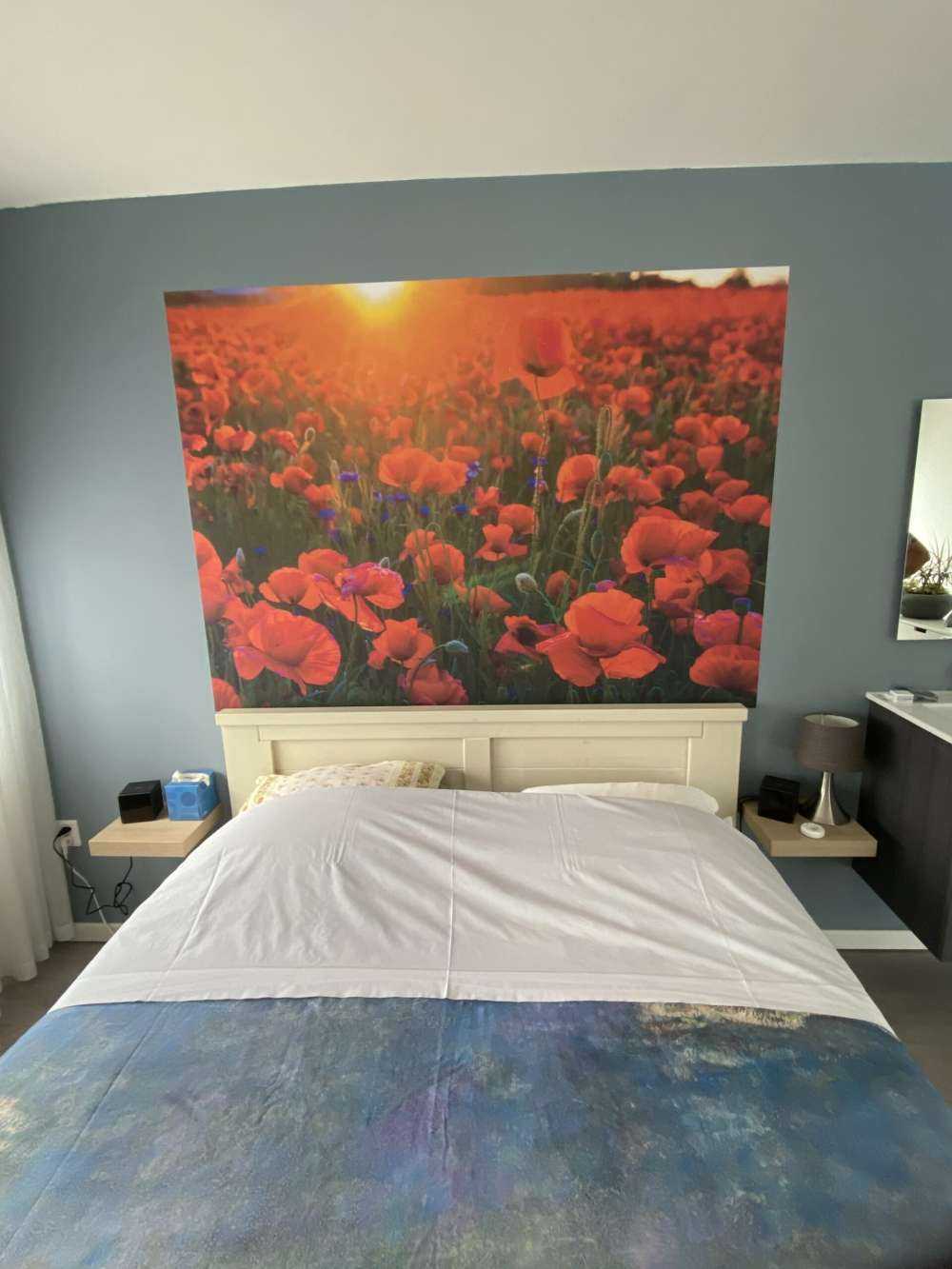 Klaprozen met opkomende zon