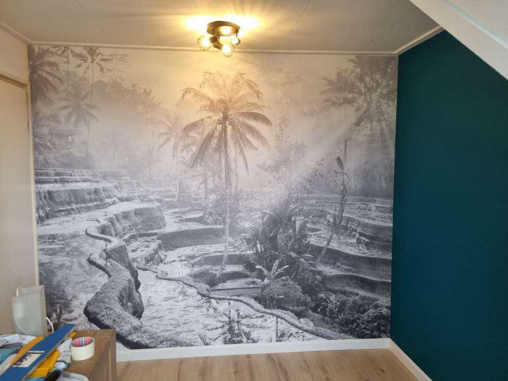 Rijstvelden in de jungle