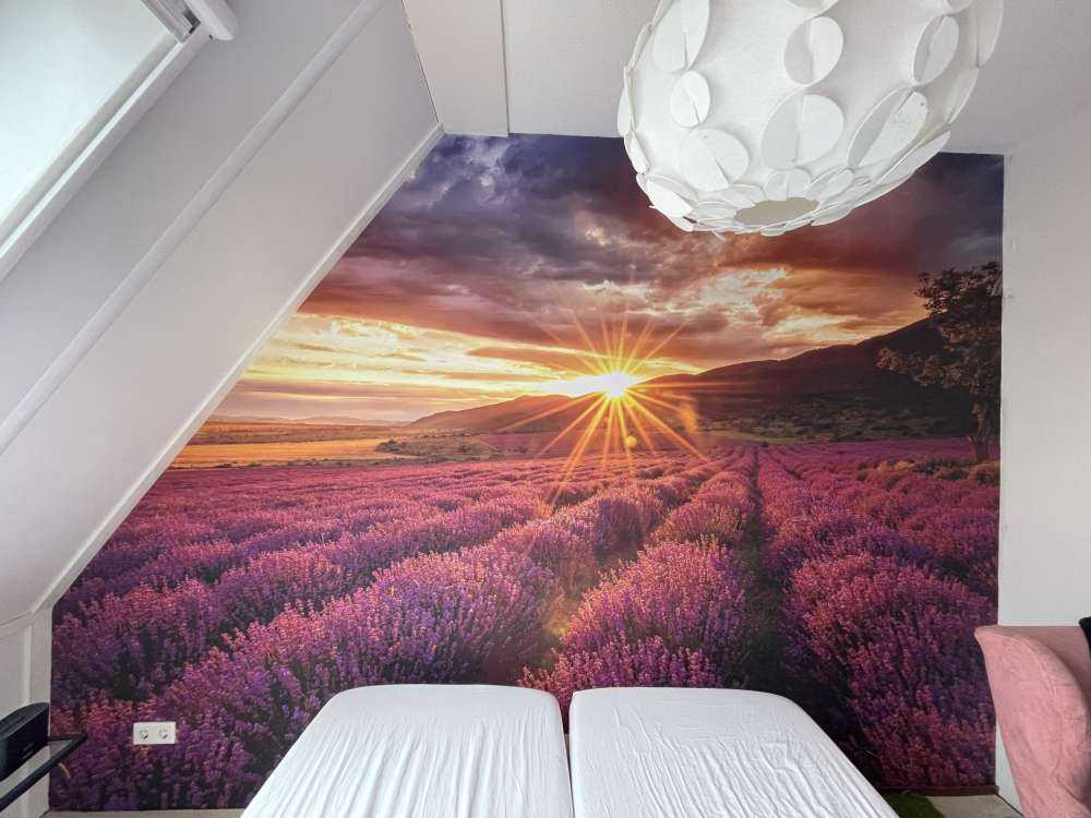 Lavendel onder de zon