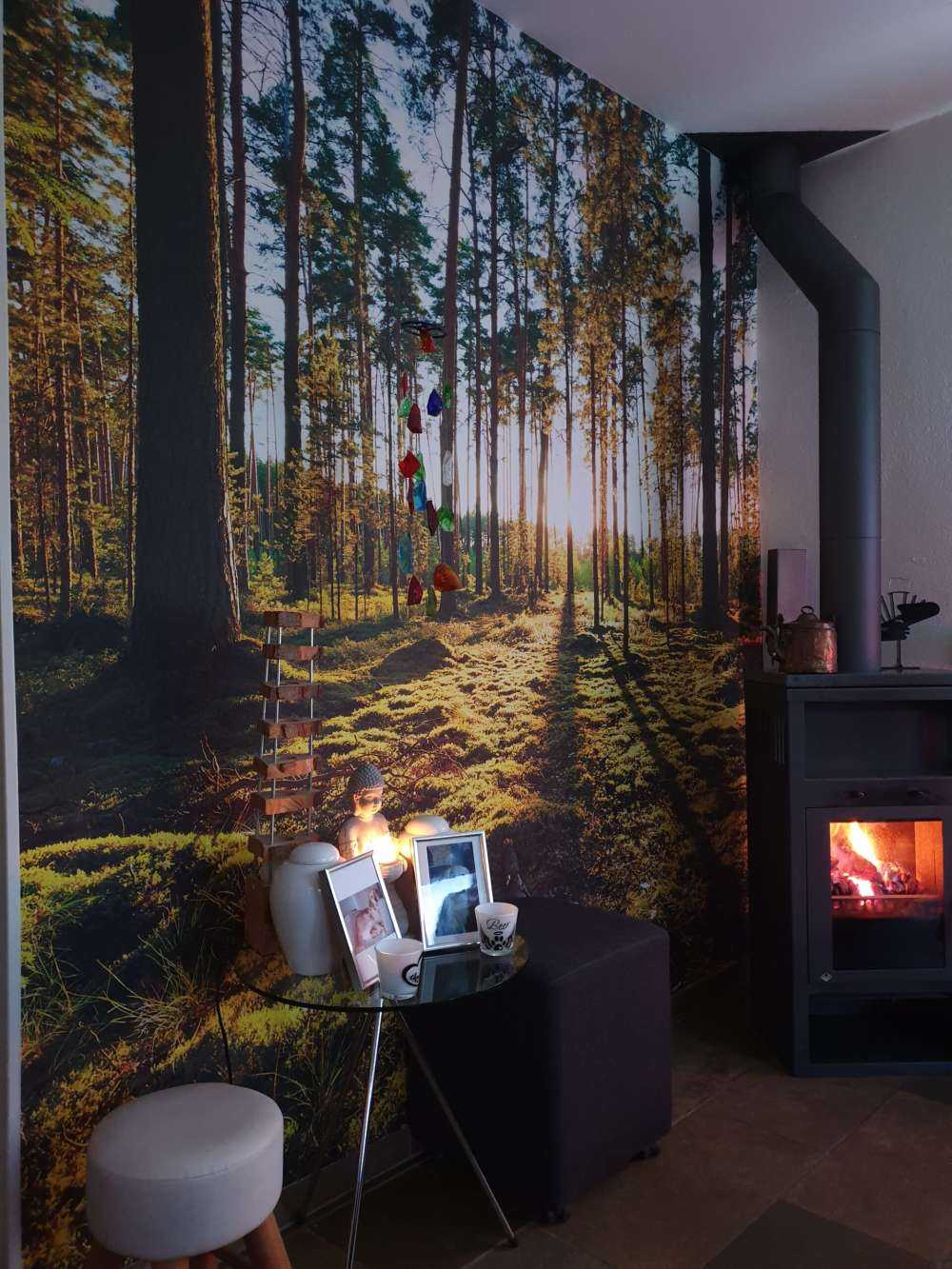 Dennenbos