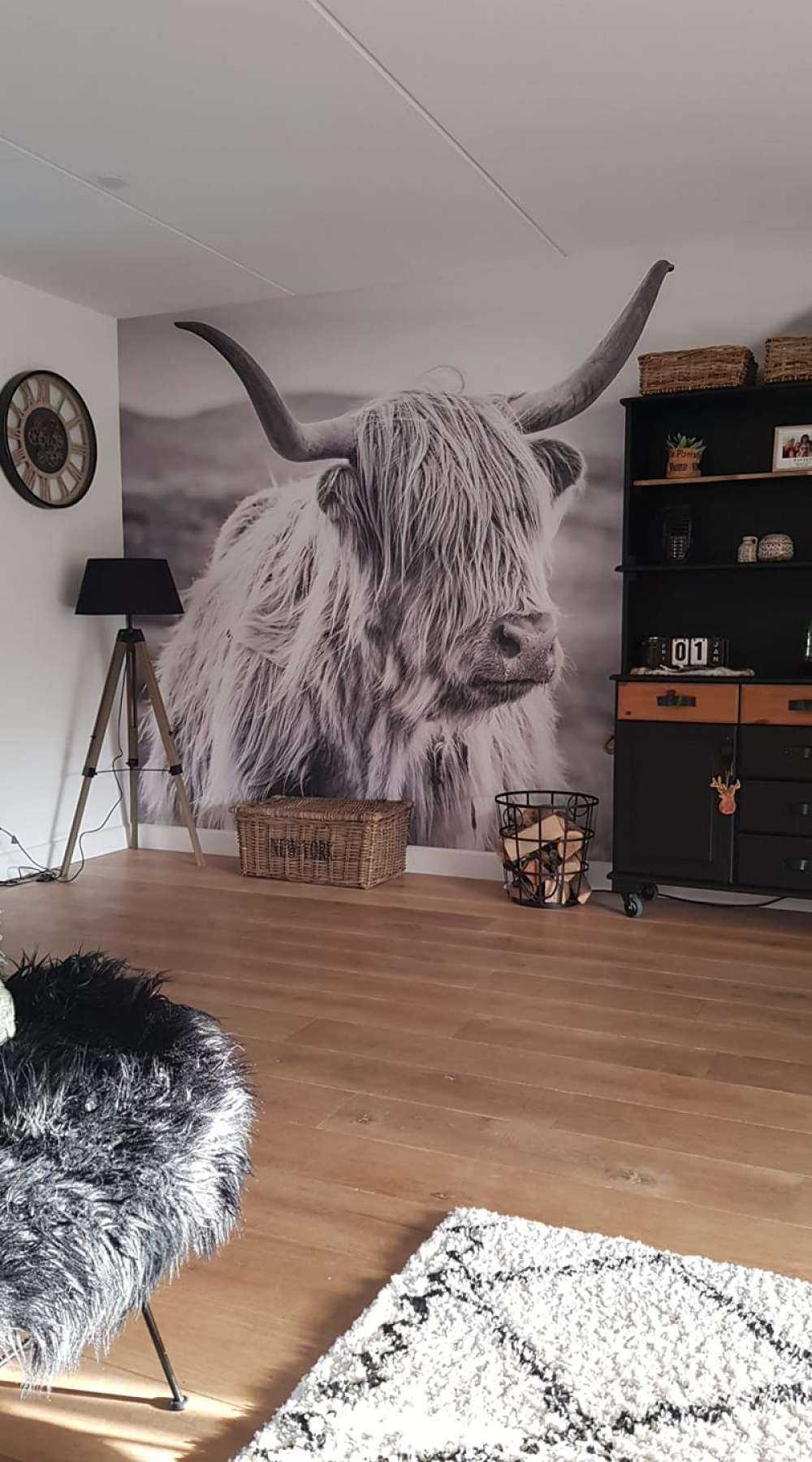 Schotse hooglander in de heuvels