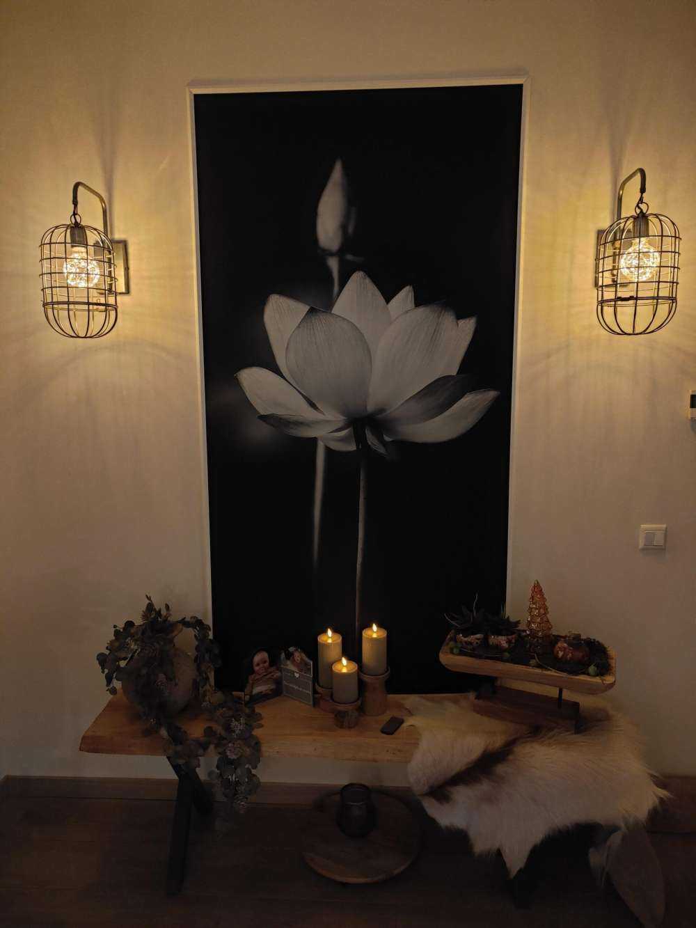 Lotusbloemen zwart-wit