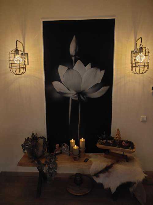 Lotusbloemen zwart-wit