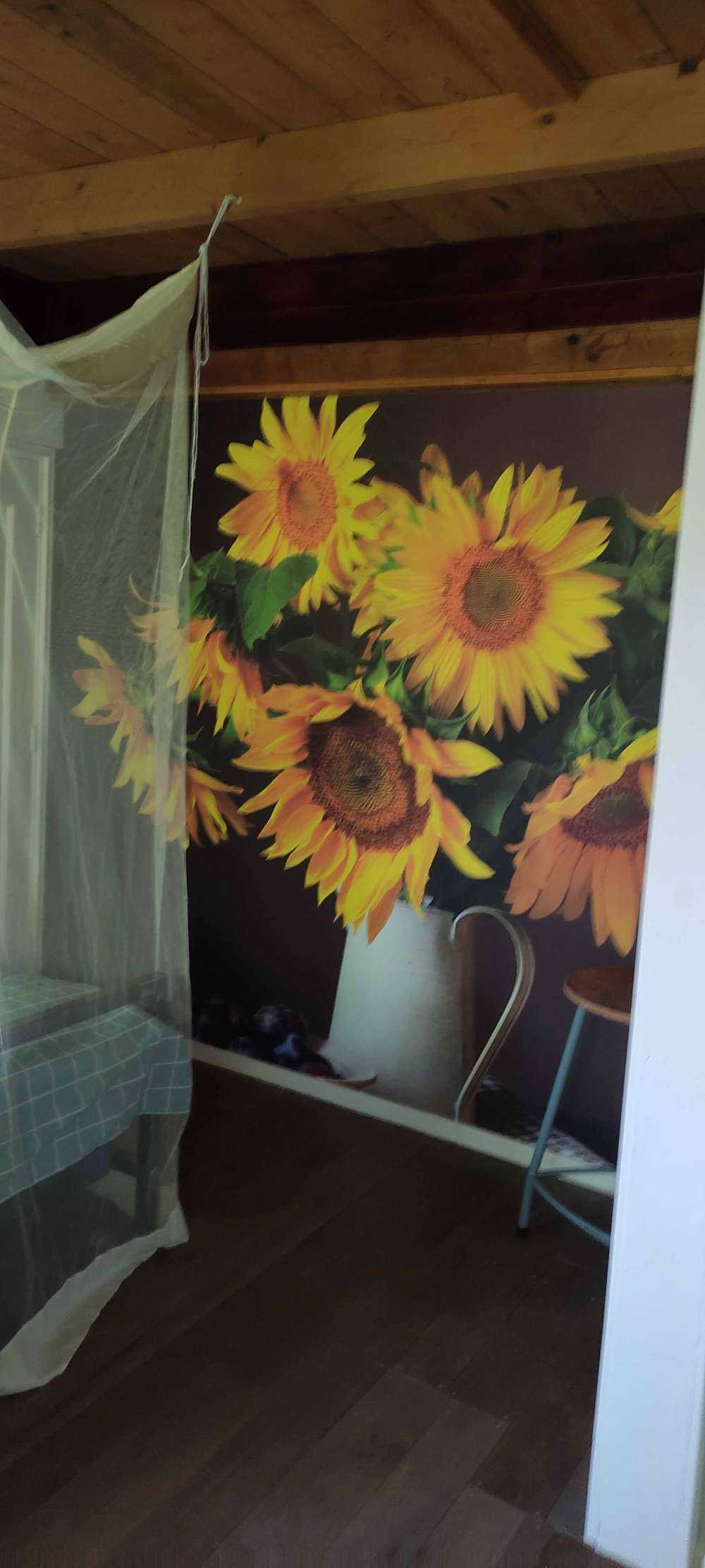 Zonnebloemen en bessen