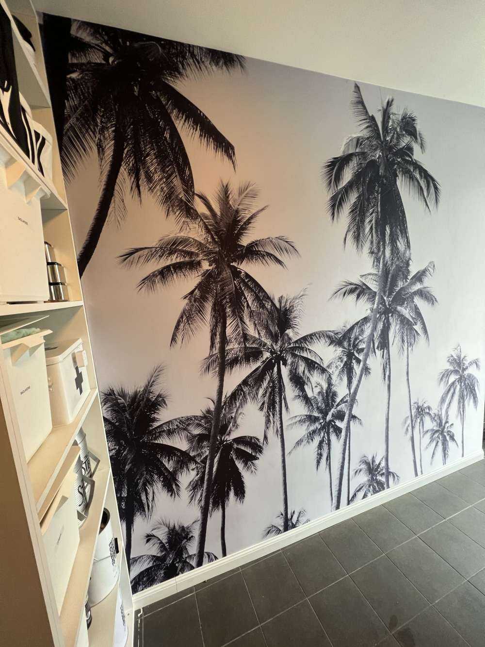Palmbomen in zwart-wit