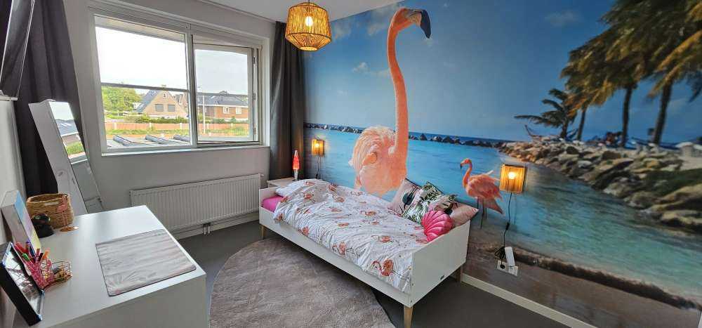 Flamingo op het strand