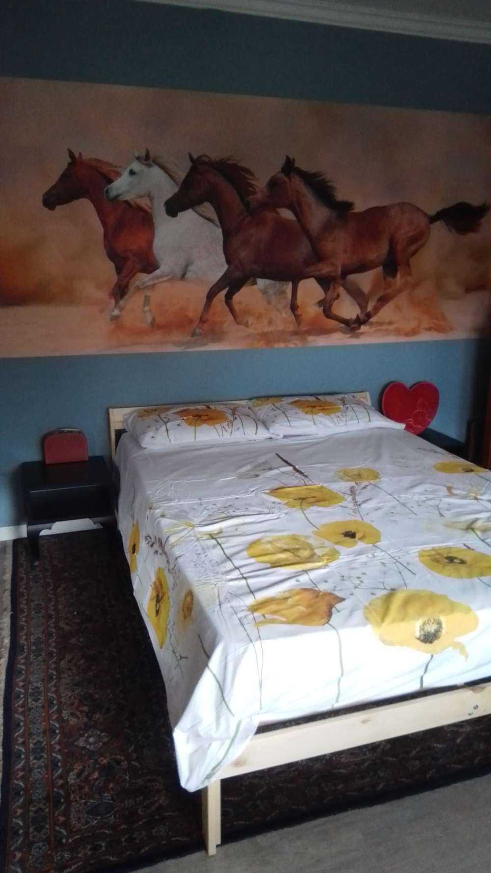 Galopperende paarden in een zandstorm