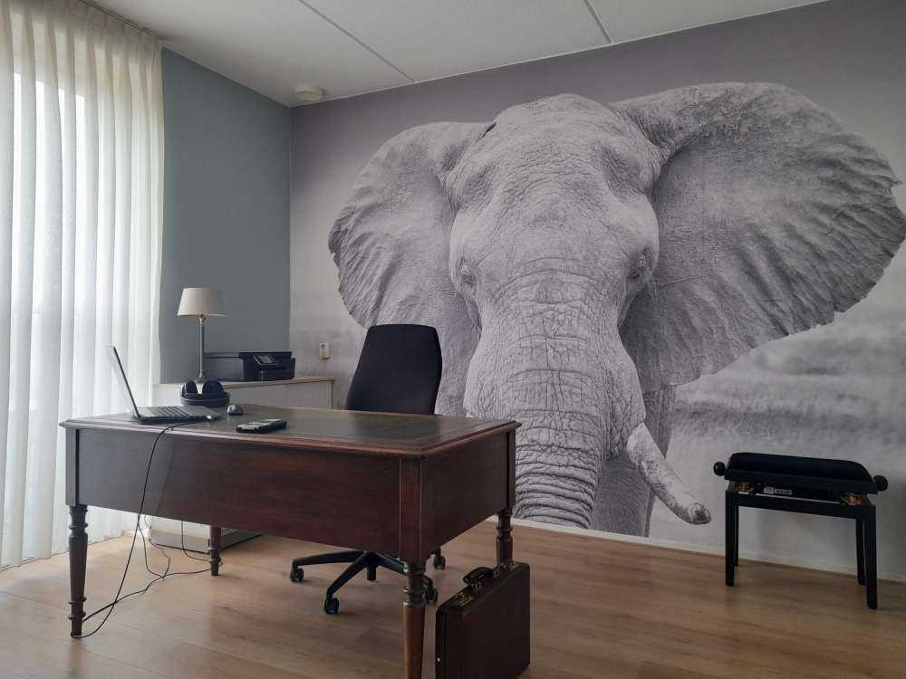 Olifant zwart-wit