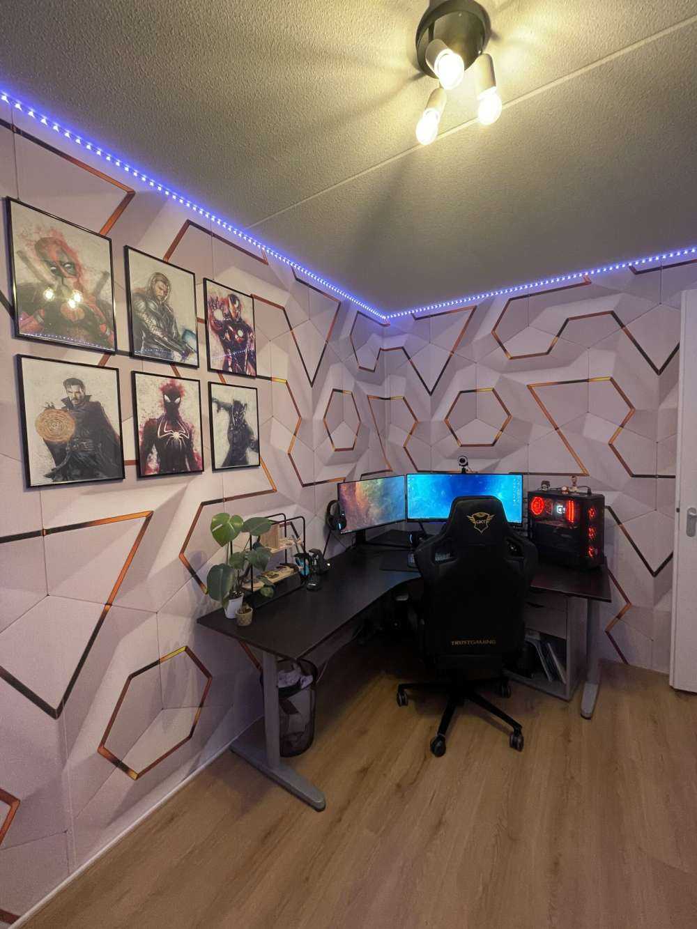 3D Panelen