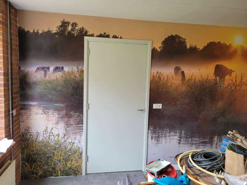 Koeien in het weiland