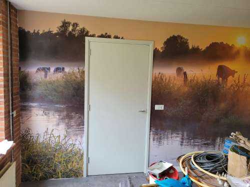 Koeien in het weiland