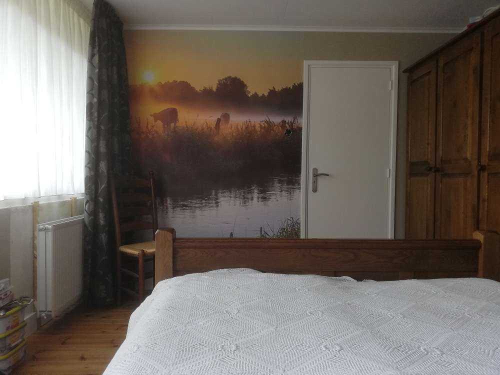 Koeien in het weiland