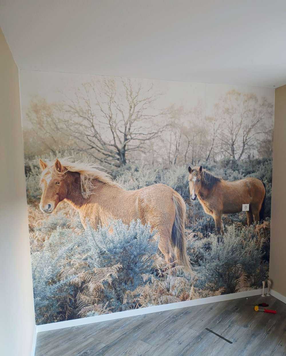 Wilde paarden in een veld