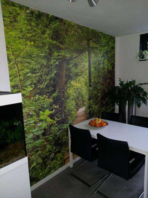 Houten pad door het groen