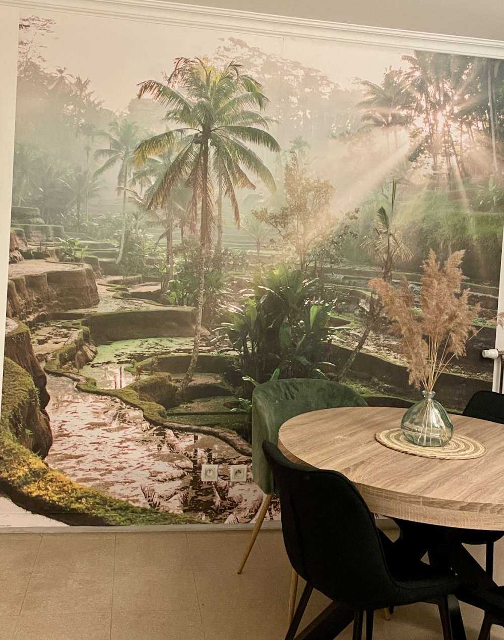 Rijstvelden in de jungle