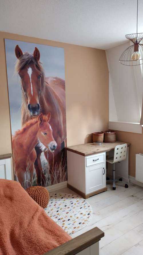 Wilde paarden