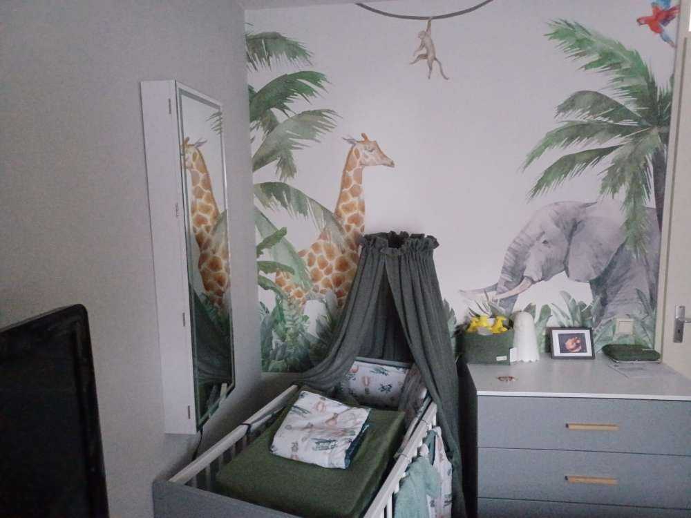 Kleurrijke jungle dieren