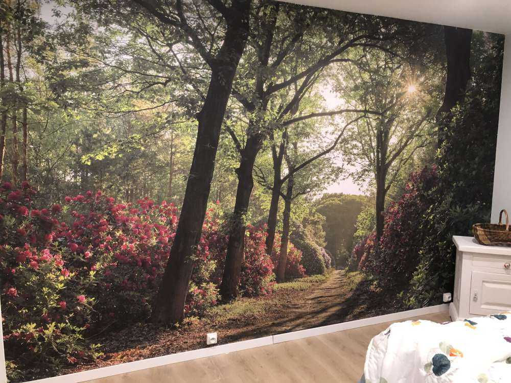 Zonsopkomst bij pad met rhododendrons